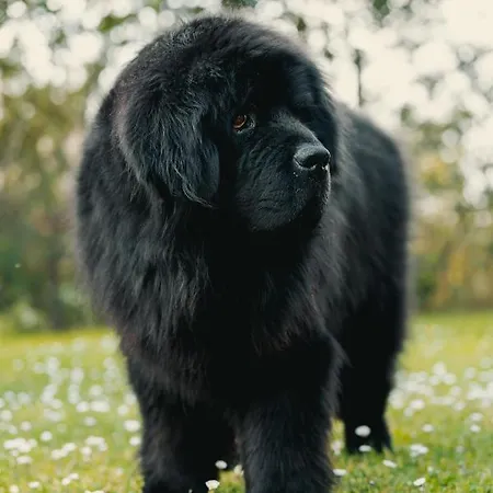 Feriehus Casale Il Terranova *