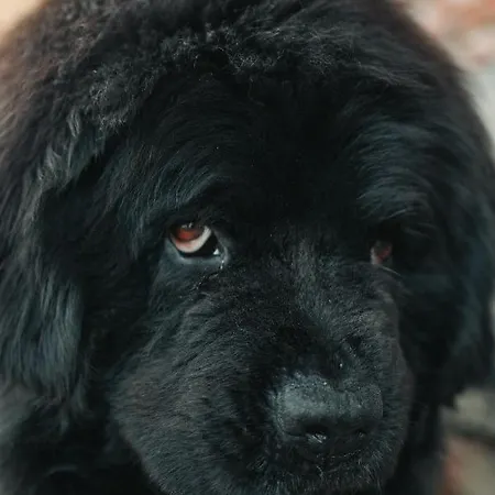 Casale Il Terranova *